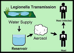 การแพร่กระจาย ของ legionella