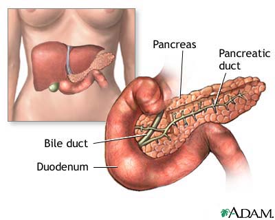 diabetes_pancrease.jpg diabetes_pancrease.jpg